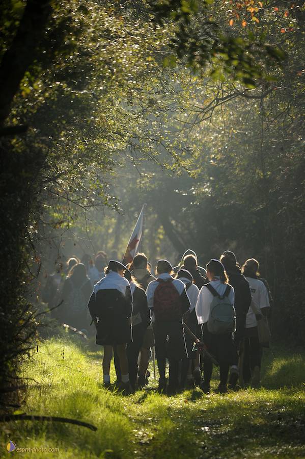 Nom de l'image : D30083002_1_(c)Norbert-JUNG — Description :
